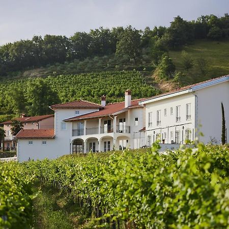 Peterc Vineyard Estate Bed and Breakfast Kojsko Exteriör bild