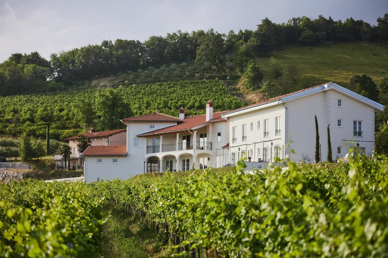 Peterc Vineyard Estate Bed and Breakfast Kojsko Exteriör bild